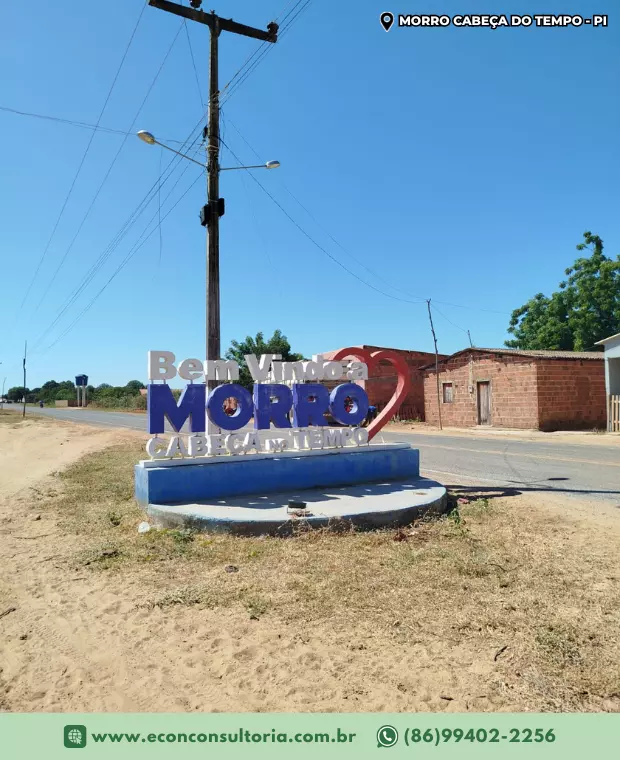 Serviço de Inventário Florestal  em Morro Cabeça do Tempo - PI